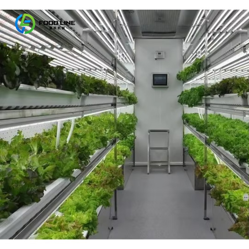 Agriculture Vertical Farming - ระบบปลูกผักไฮโดรโปนิกส์แบบ NFT แนวตั้งในตู้คอนเทนเนอร์เหล็กแบบปรับแต่งได้สำหรับปลูกไมโครกรีนและผักใบเขียวในโรงเรือนเกษตร