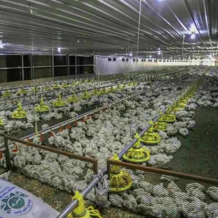 อุปกรณ์การเกษตรสำหรับไก่และสัต - Farming Agriculture Equipment บทวิจารณ์และราคา