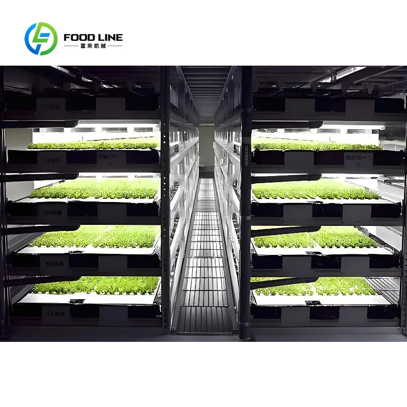 ระบบปลูกผักไฮโดรโปนิกส์แบบ NFT - Agriculture Vertical Farming บทวิจารณ์และราคา