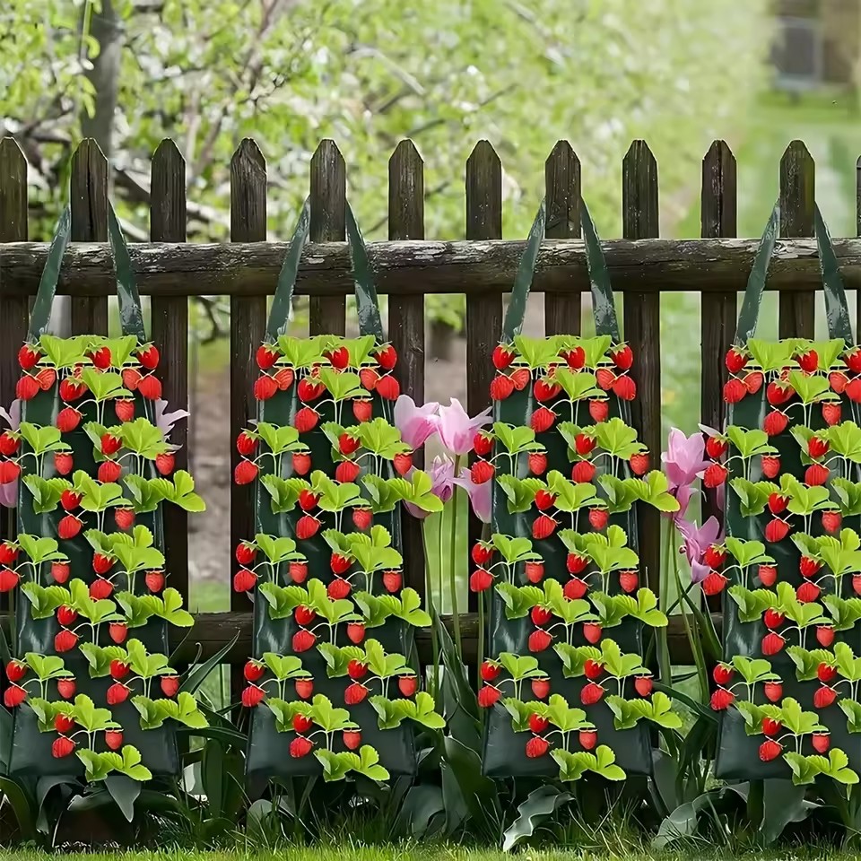 ถุงปลูกสตรอว์เบอร์รี่แบบแขวน 4 - Agriculture Vertical Farming บทวิจารณ์และราคา