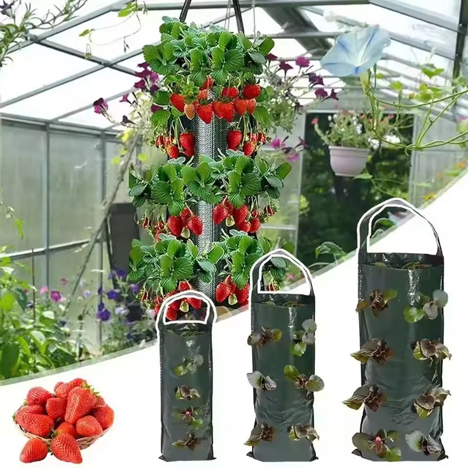 ถุงปลูกสตรอว์เบอร์รี่แบบแขวน 4 - Agriculture Vertical Farming บทวิจารณ์และราคา