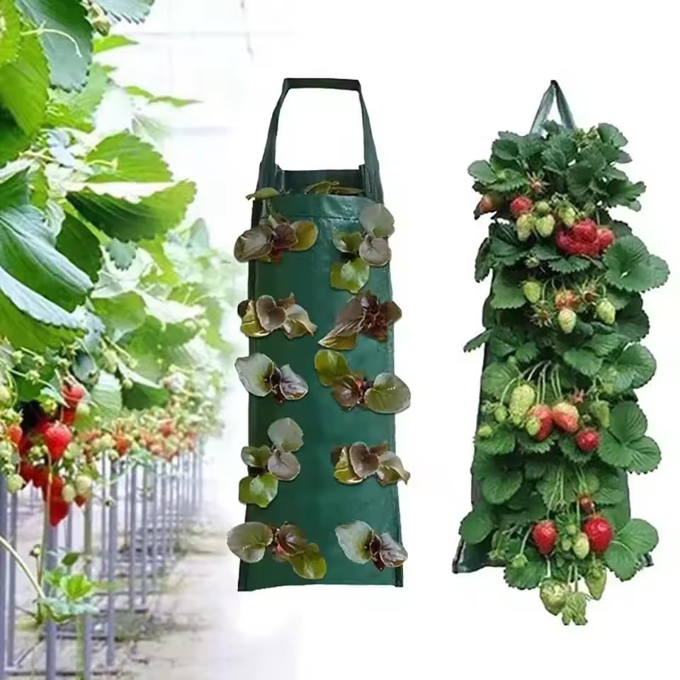 ถุงปลูกสตรอว์เบอร์รี่แบบแขวน 4 - Agriculture Vertical Farming บทวิจารณ์และราคา