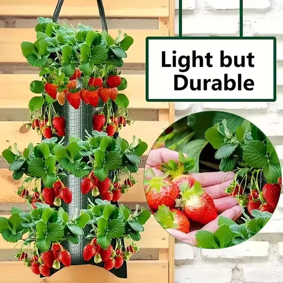 ถุงปลูกสตรอว์เบอร์รี่แบบแขวน 4 - Agriculture Vertical Farming บทวิจารณ์และราคา