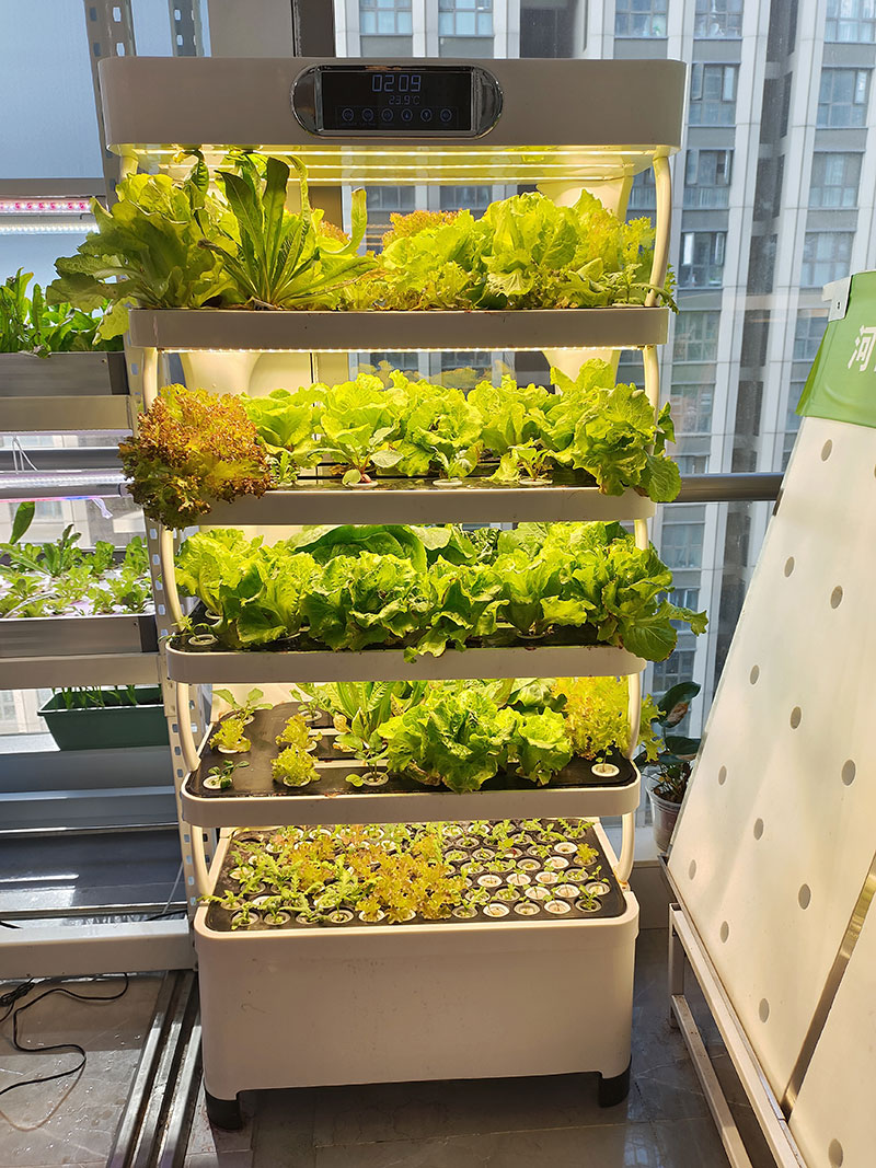 เครื่องจักรการเกษตรสำหรับปลูกผ - Farming Agriculture Equipment บทวิจารณ์และราคา