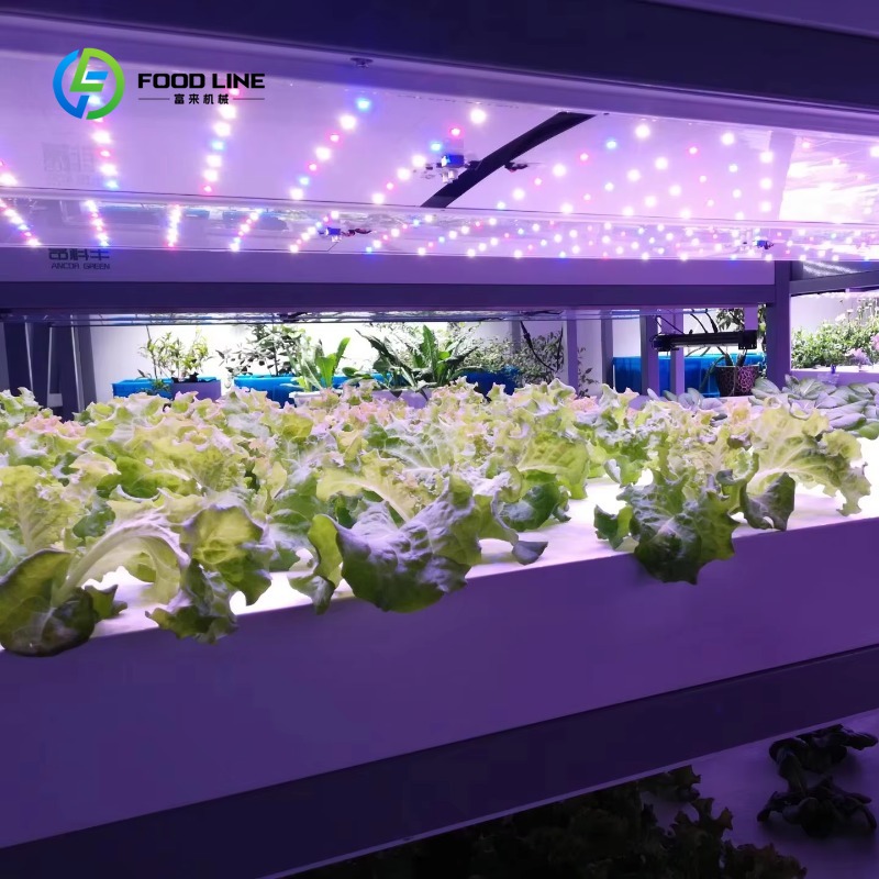 ฟาร์มปลูกเห็ดในตู้คอนเทนเนอร์ข - Agriculture Vertical Farming บทวิจารณ์และราคา