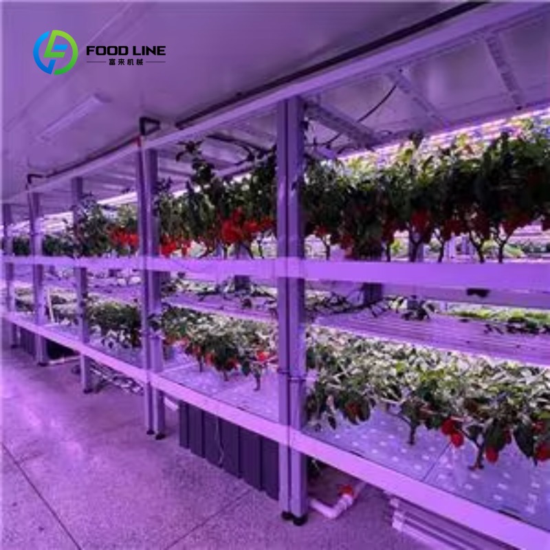 ฟาร์มปลูกเห็ดในตู้คอนเทนเนอร์ข - Agriculture Vertical Farming บทวิจารณ์และราคา