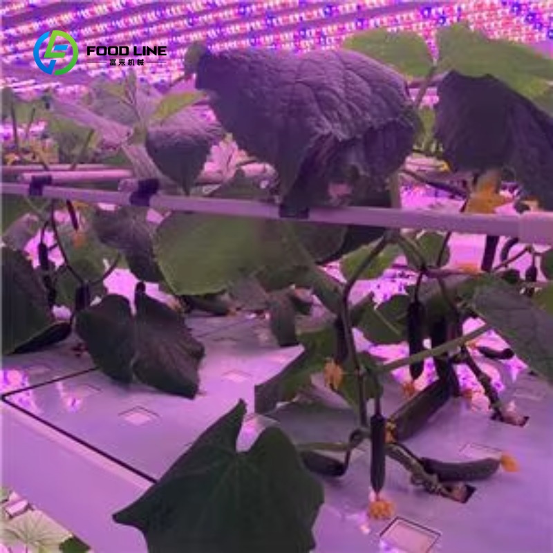 ฟาร์มปลูกเห็ดในตู้คอนเทนเนอร์ข - Agriculture Vertical Farming บทวิจารณ์และราคา