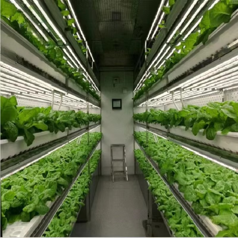 ระบบปลูกพืชไฮโดรโปนิกส์ในตู้คอ - Agriculture Vertical Farming บทวิจารณ์และราคา