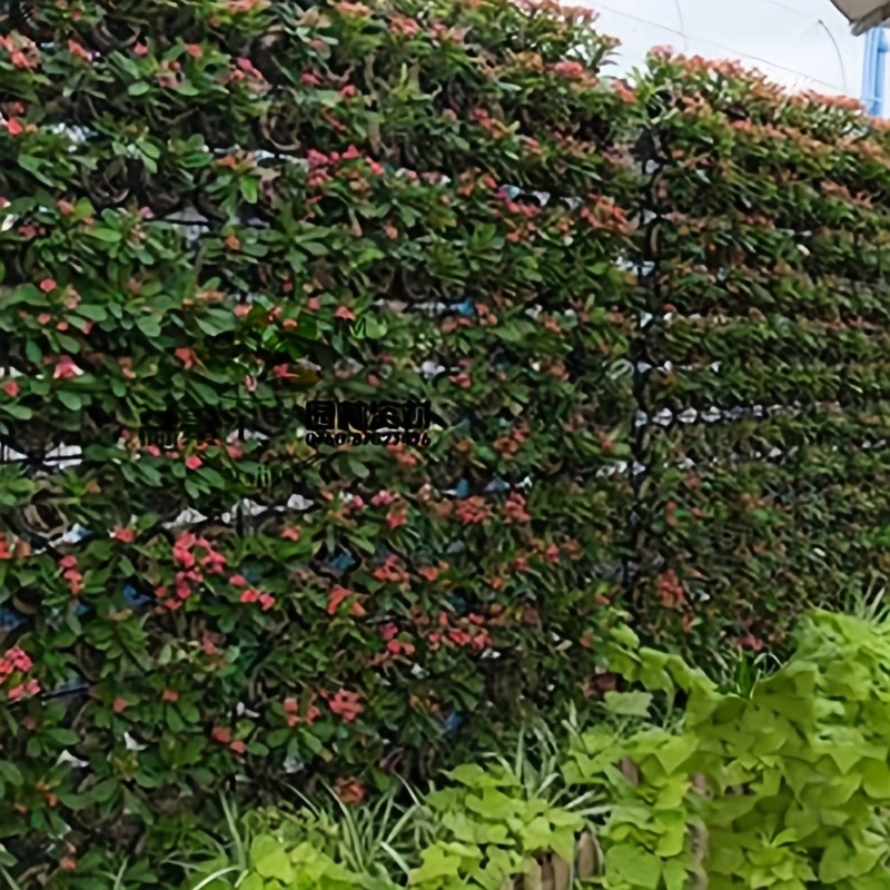 กระเป๋าปลูกต้นไม้แบบหลายช่องสี - Agriculture Vertical Farming บทวิจารณ์และราคา