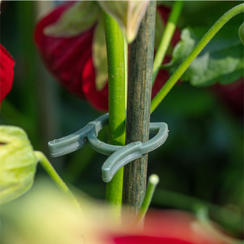 คลิปหนีบต้นไม้ในสวน 50/100 ชิ้ - Agriculture Vertical Farming บทวิจารณ์และราคา